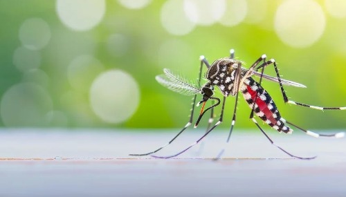 Ação com fumacê percorre bairros e reforça cuidados essenciais da população